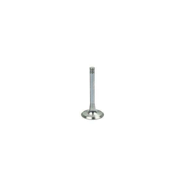 Avgasventil Borsehung B19002 Borsehung