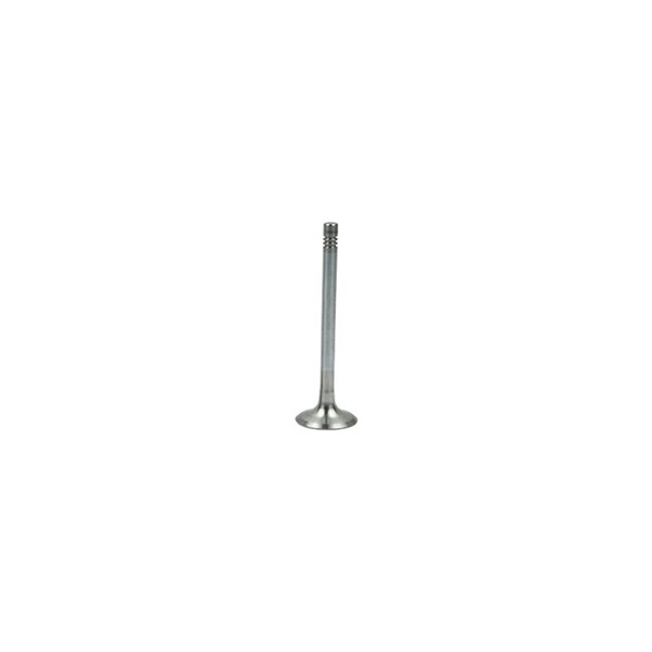 Avgasventil Borsehung B19005 Borsehung