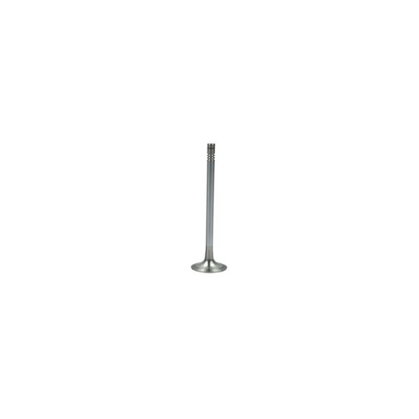 Avgasventil Borsehung B19007 Borsehung