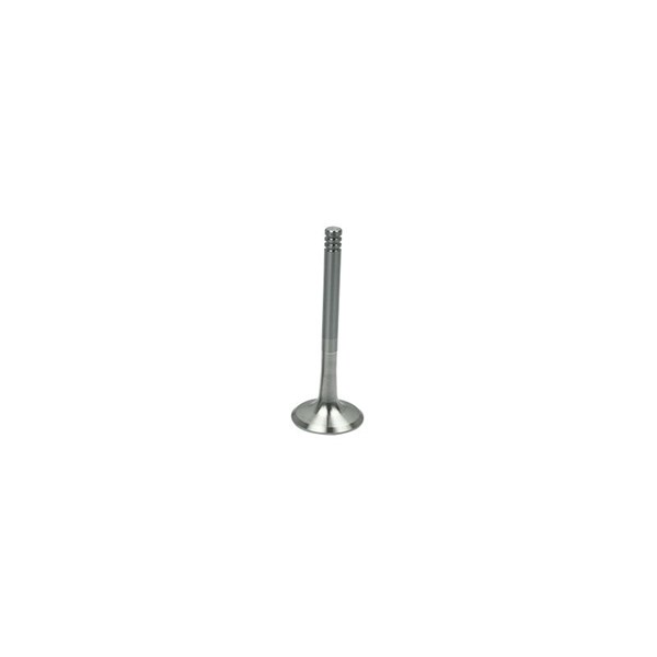Avgasventil Borsehung B19013 Borsehung