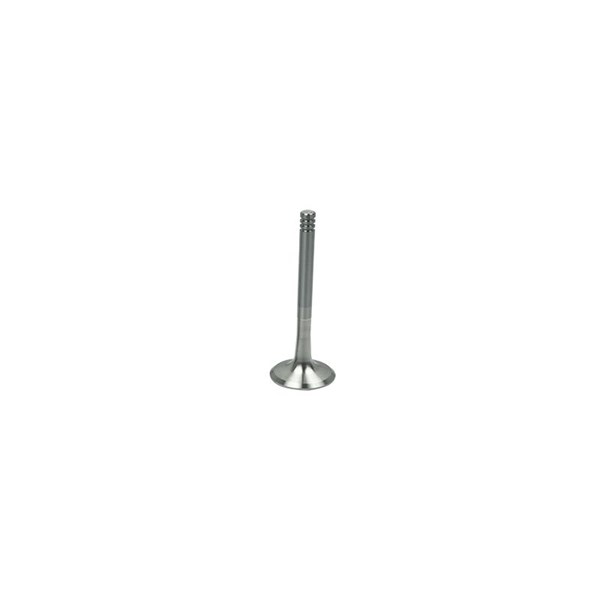 Avgasventil Borsehung B19014 Borsehung