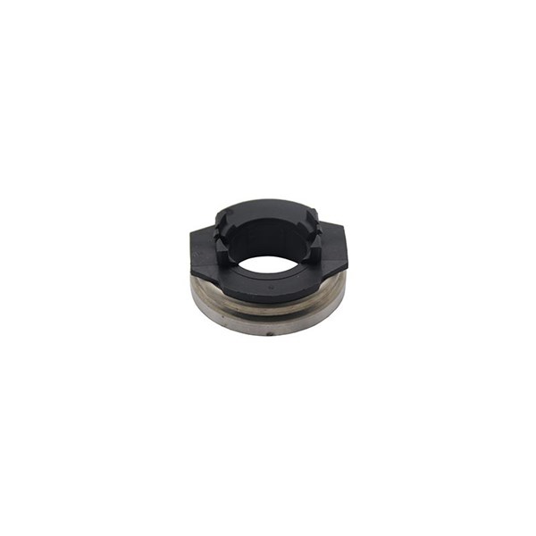 Urtrampningslager Borsehung B19279 Borsehung