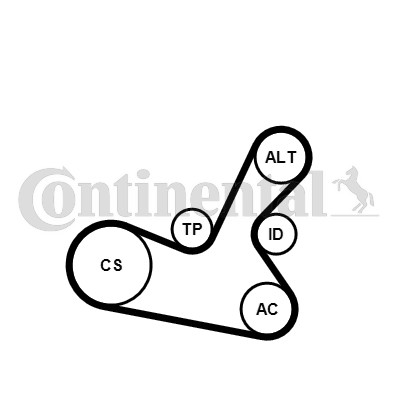 Drivremsats Contitech 5PK1300K1 CONTITECH