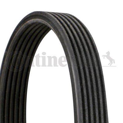 Drivrem Contitech 6DPK1237 CONTITECH Drivrem Contitech 6DPK1237 CONTITECH
