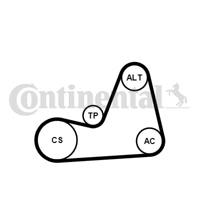 Drivremsats Contitech 6PK1100K1 CONTITECH