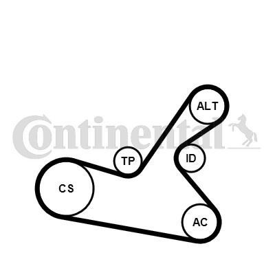 Drivremsats 80A Contitech 6PK1125K1 CONTITECH