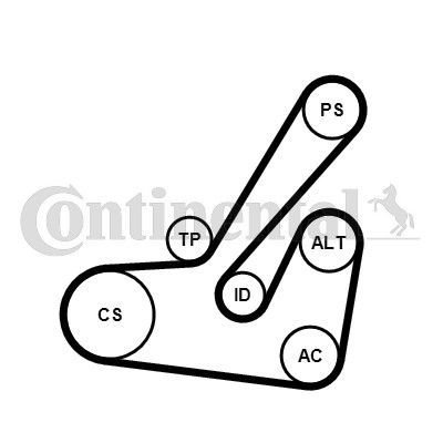 Drivremsats 80A Contitech 6PK1145K2 CONTITECH