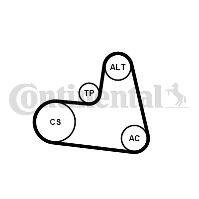 Drivremsats Contitech 6PK1217K1 CONTITECH