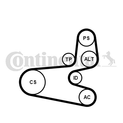 Drivremsats Contitech 6PK1560K1 CONTITECH