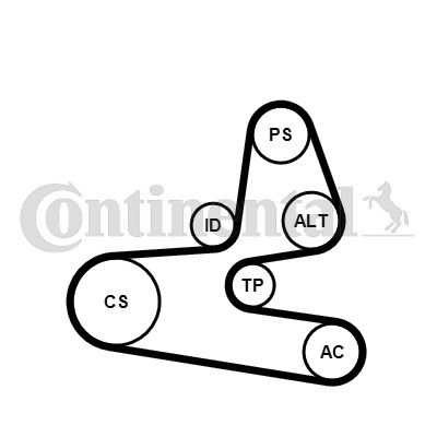 Drivremsats Contitech 6PK1564K1 CONTITECH