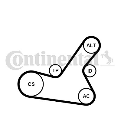 Drivremsats 80A Contitech 6PK1564K2 CONTITECH