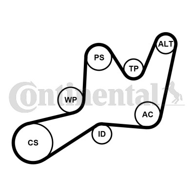 Drivremsats Contitech 6PK1605K1 CONTITECH