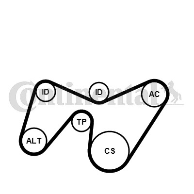 Drivremsats Contitech 6PK1642K2 CONTITECH