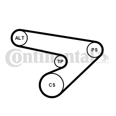 Drivremsats Contitech 6PK1725K1 CONTITECH