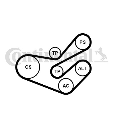 Drivremsats Contitech 6PK1750K3 CONTITECH