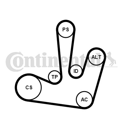 Drivremsats Contitech 6PK1795K1 CONTITECH
