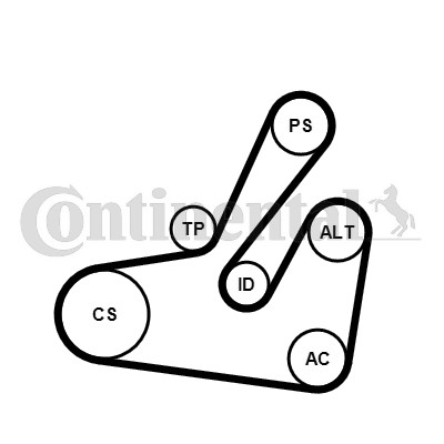 Drivremsats Contitech 6PK1795K2 CONTITECH