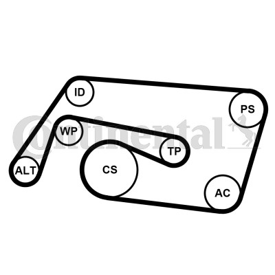 Drivremsats Contitech 6PK2260K2 CONTITECH
