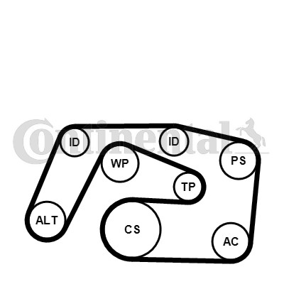 Drivremsats Contitech 6PK2271K1 CONTITECH