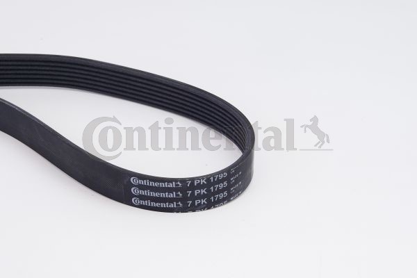 Drivremsats Contitech 7PK1795K1 CONTITECH