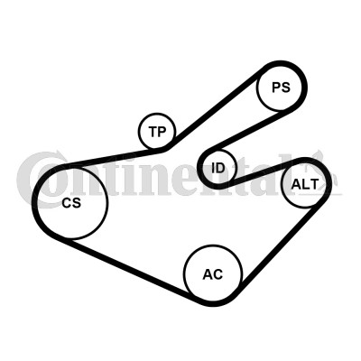 Drivremsats Contitech 7PK1795K1 CONTITECH