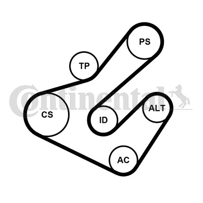Drivremsats Contitech 7PK1795K2 CONTITECH