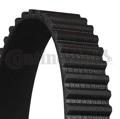 Kamrem Contitech CT539 CONTITECH Kamrem Contitech CT539 CONTITECH