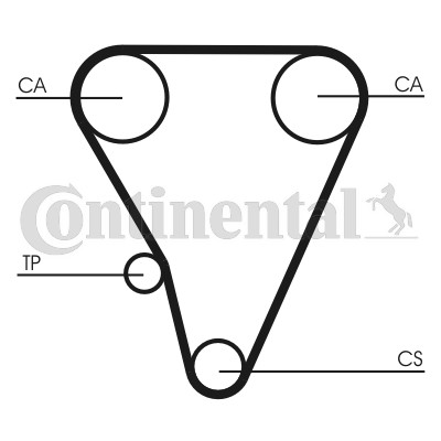 Kamrem Contitech CT555 CONTITECH Kamrem Contitech CT555 CONTITECH