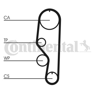 Kamrem Contitech CT557 CONTITECH Kamrem Contitech CT557 CONTITECH