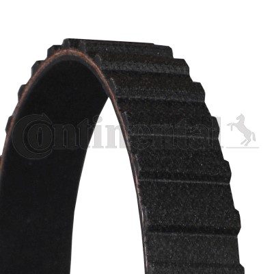 Kamrem Contitech CT561 CONTITECH Kamrem Contitech CT561 CONTITECH