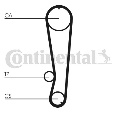 Kamrem Contitech CT788 CONTITECH Kamrem Contitech CT788 CONTITECH