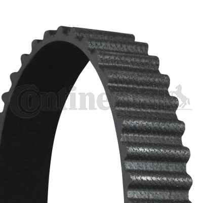 Kamrem Contitech CT788 CONTITECH Kamrem Contitech CT788 CONTITECH
