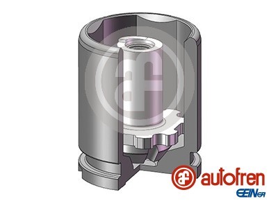 Kolv, bromsok, Bakaxel Autofren seinsa D025543K AUTOFREN SEINSA