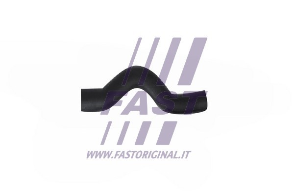 Laddluftslang Fast FT61955 FAST