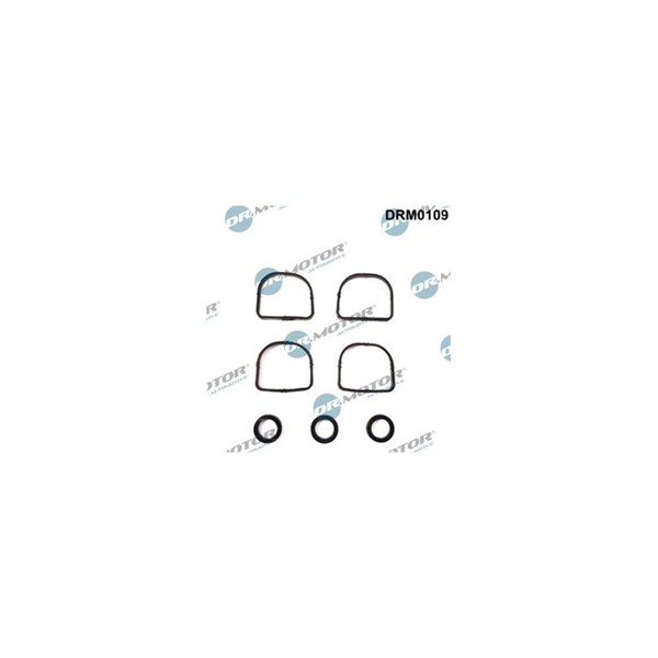 Packningssats, insug, grenrör Dr.Motor Automotive