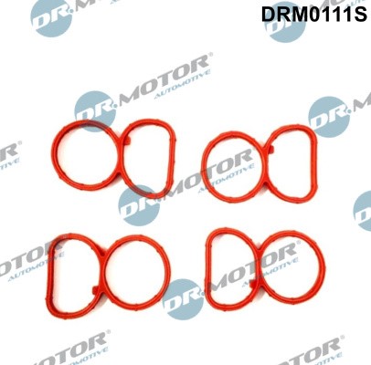 Packningssats, insug, grenrör Dr.Motor Automotive