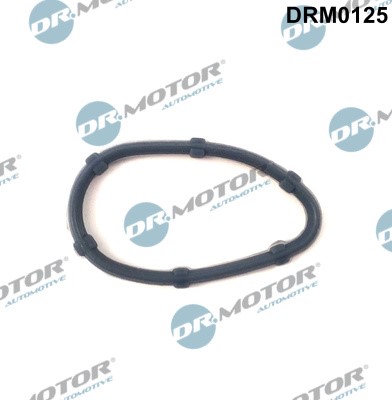Packning, insugsgrenrör, Cylindriskt huvud Dr.Motor Automotive