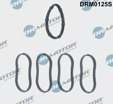 Packningssats, insug, grenrör Dr.motor automotive DRM0125S Dr.Motor Automotive