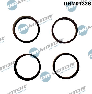 Packningssats, insug, grenrör Dr.motor automotive DRM0133S Dr.Motor Automotive