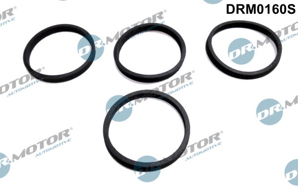 Packningssats, insug, grenrör Dr.Motor Automotive