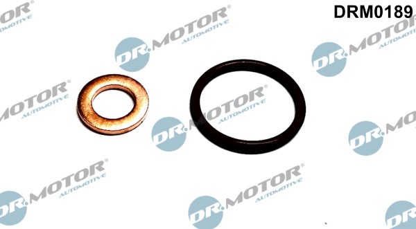Packningssats, insprutningsmunstycke Dr.Motor Automotive