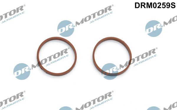 Packningssats, insug, grenrör Dr.motor automotive DRM0259S Dr.Motor Automotive