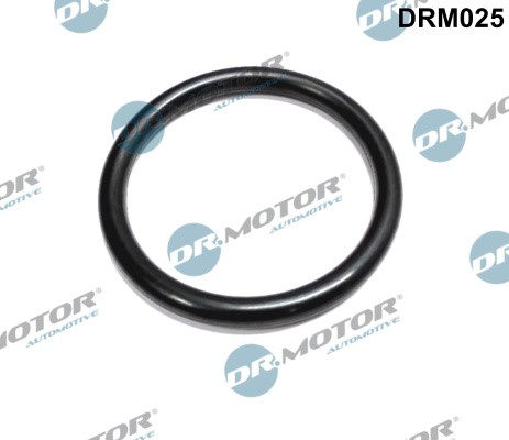 Packning, gasspjällsstuts, Insugssidan Dr.Motor Automotive
