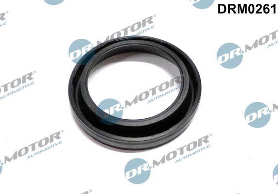 Tätning, munstyckshållare Dr.motor automotive DRM0261 Dr.Motor Automotive Tätning, munstyckshållare Dr.motor automotive DRM0261 Dr.Motor Automotive