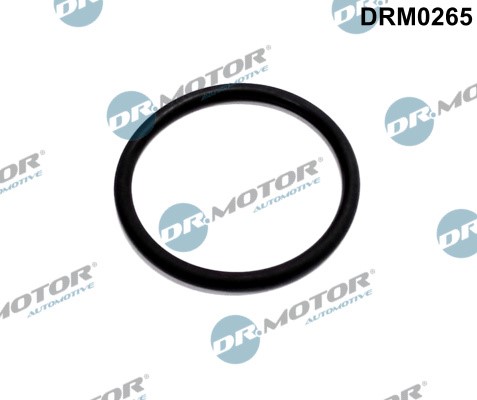 Packningssats, EGR-system Dr.motor automotive DRM0265 Dr.Motor Automotive