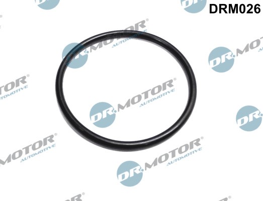 Packning, gasspjällsstuts, Avgas-/utsläppssidan Dr.motor automoti Dr.Motor Automotive
