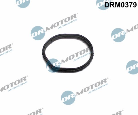 Packning, kamremskåpa Dr.Motor Automotive