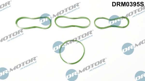 Packningssats, insug, grenrör Dr.motor automotive DRM0395S Dr.Motor Automotive Packningssats, insug, grenrör Dr.motor automotive DRM0395S Dr.Motor Automotive