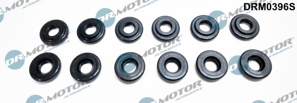 Packning, topplocksbult Dr.Motor Automotive