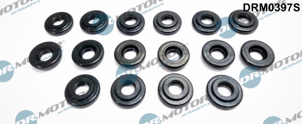 Packning, topplocksbult Dr.Motor Automotive
